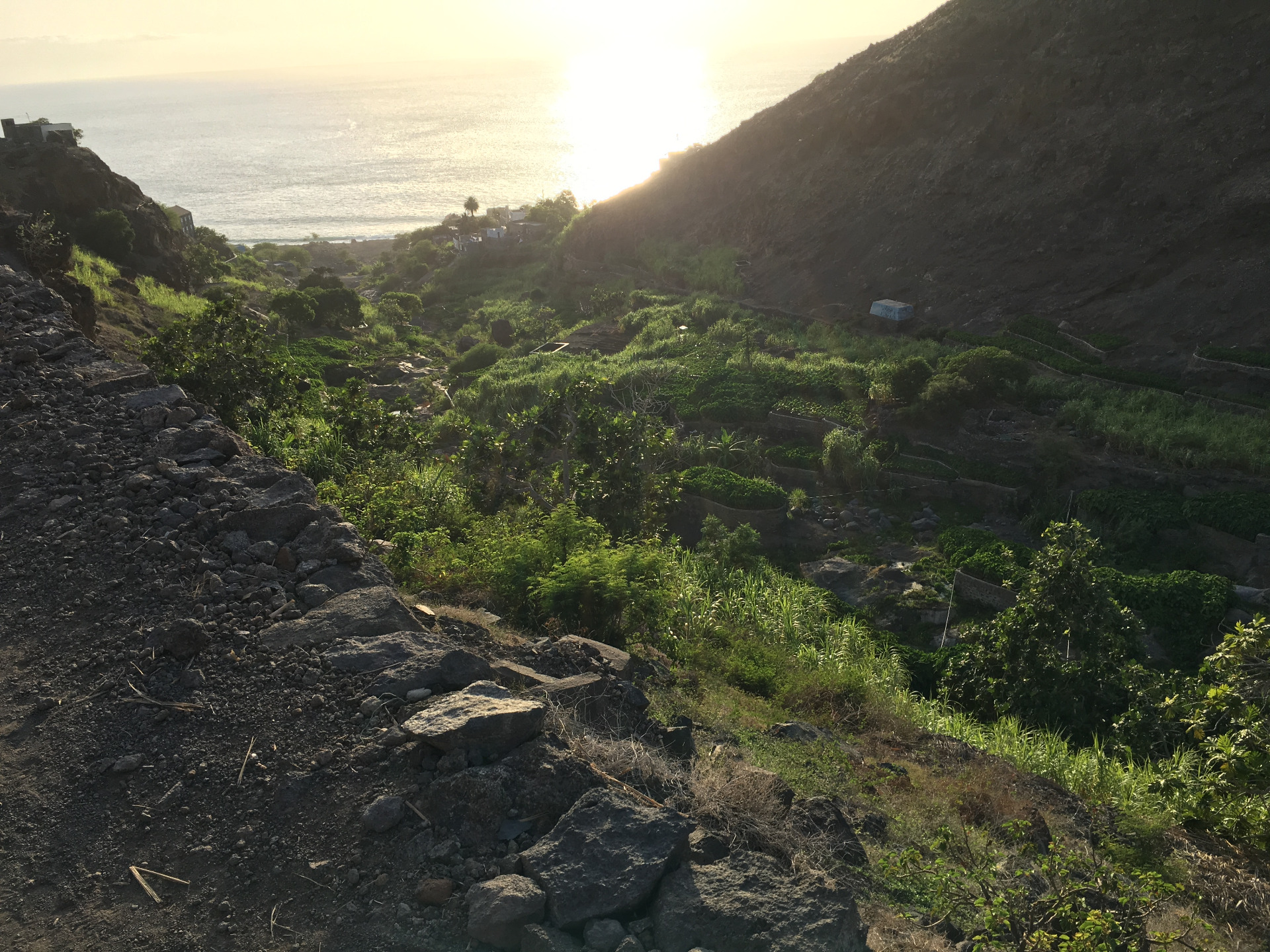 Vallée de Paùl verdoyante et cultures en terrasses à Santo Antão, Cap-Vert